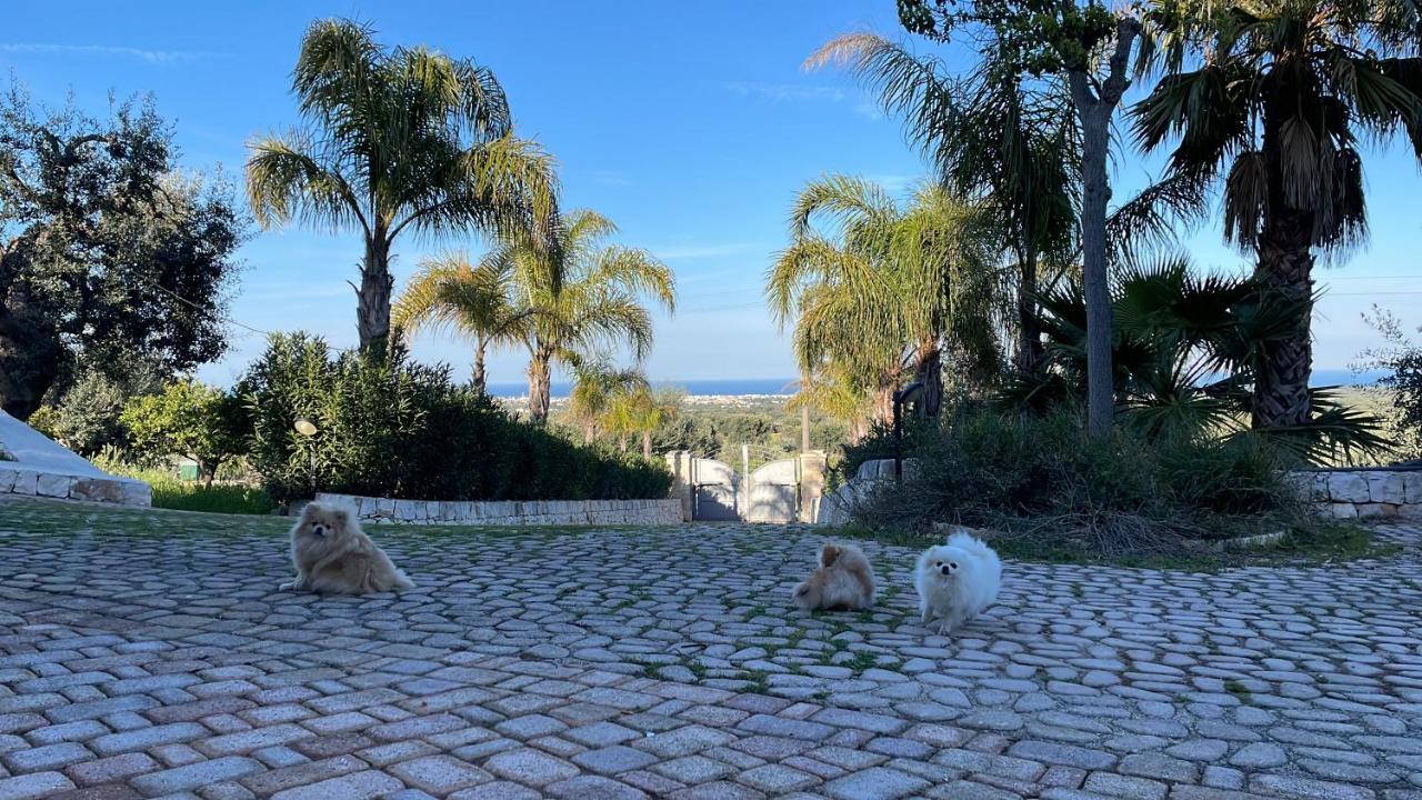 Alla Villa Di Angelo モノーポリ エクステリア 写真