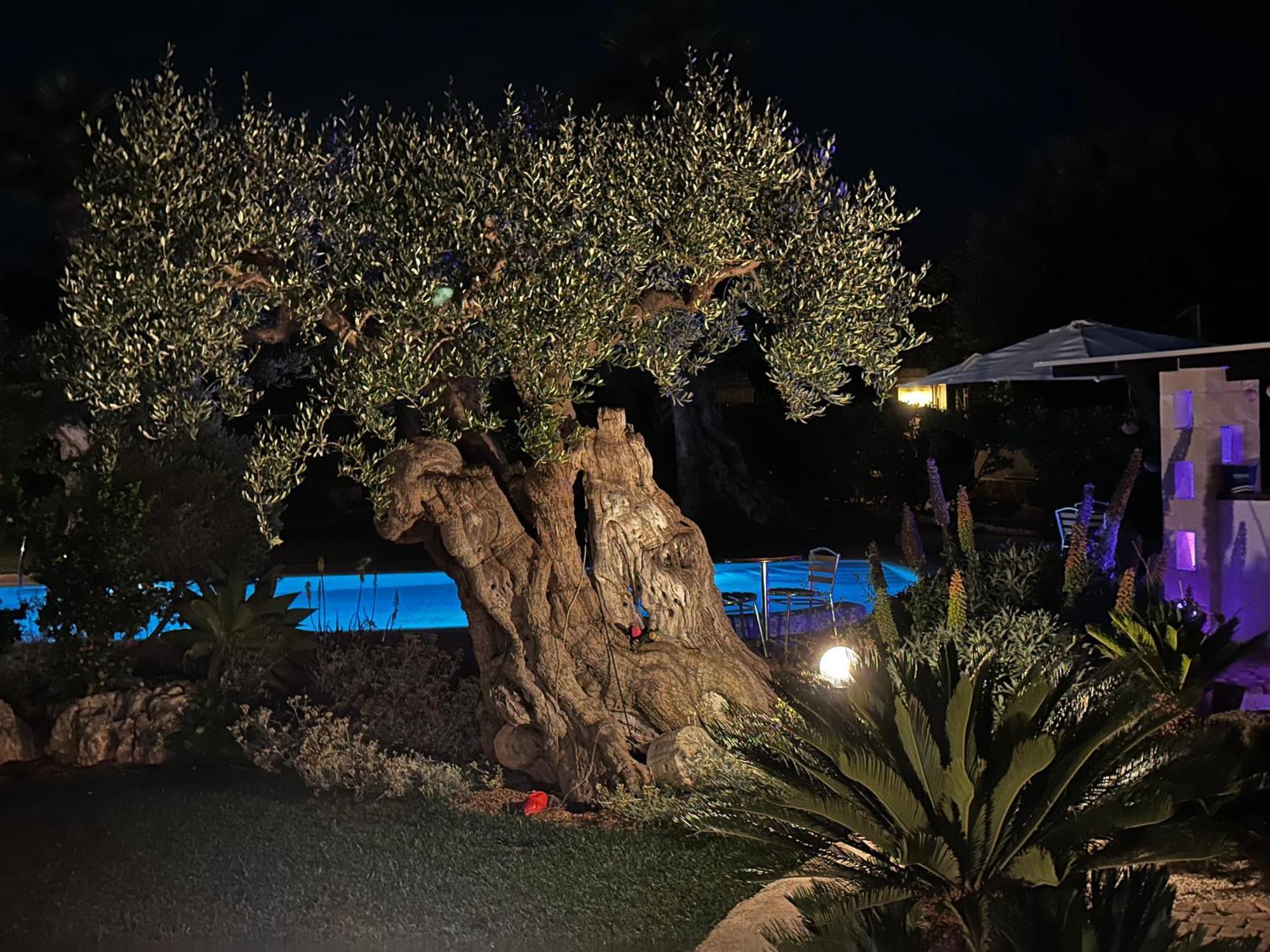 Alla Villa Di Angelo モノーポリ 部屋 写真